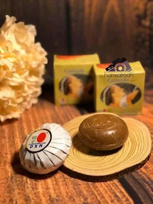 Ganozhi Soap