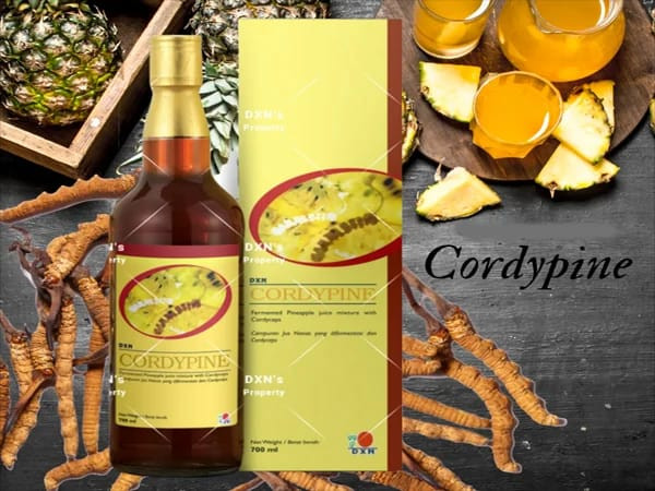 Cordybien Drink