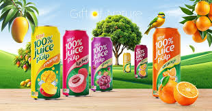 عصائر فواكه DXN الطبيعية: طعم لذيذ وفوائد صحية متعددة